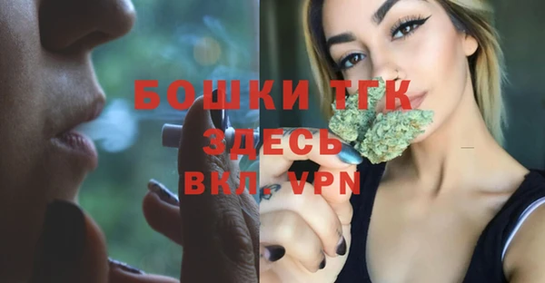 сатива Пролетарск