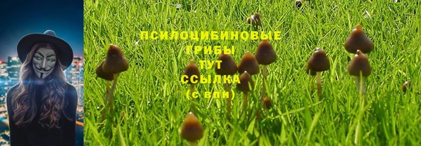 дурь Россошь