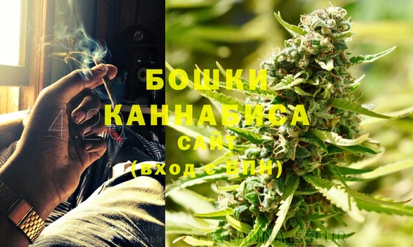 сатива Пролетарск