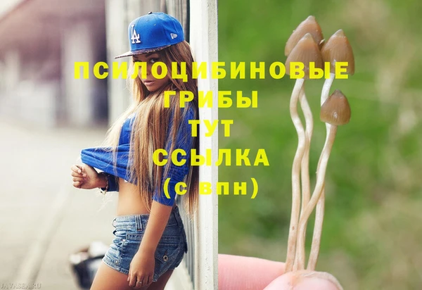 MDMA Приозерск