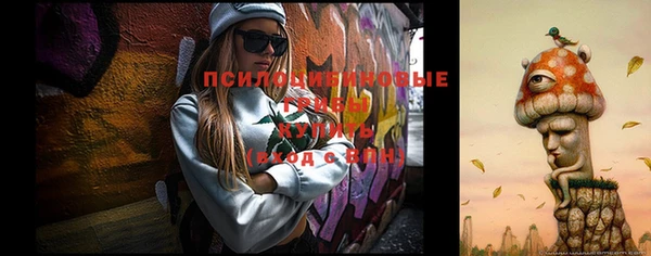 дурь Россошь